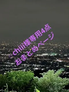 ⭐︎chiii様専用4点おまとめページ