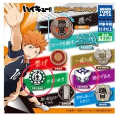 ハイキュー 高校モチーフピンバッジ 2個セット