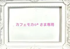 カフェモカ❉*さま専用