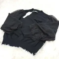 Item thumbnail for item 41521d1a-2501-43eb-b1f8-f2308cb28878