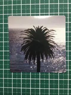 防水ステッカー ハワイ Hawaii ハワイアン 海 夏 ヤシの木 サーフィン