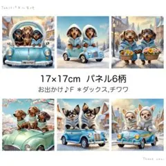 ∞あみこ∞様 リクエスト 2点 まとめ商品