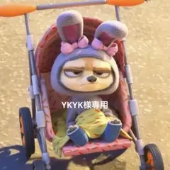 YKYK様専用