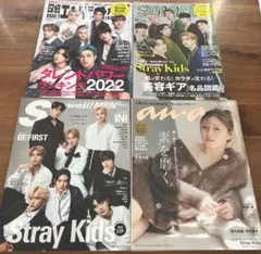 straykids スキズ 雑誌 まとめ売り