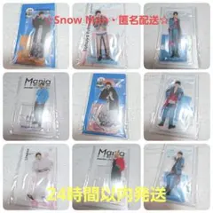 ☆新品未開封・匿名配送☆Snow Man　アクリルスタンド　まとめ売りセット