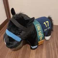 ドゥレッツァ　サラブレッドコレクション ふわふわBIG