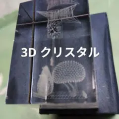 3Dクリスタル クラフト ペーパーウエイト　インテリアのサムネイル