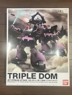2026年最新】1/144 HGUC MS-09 ドム 黒い三連星 トリプルドムセット(3