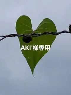AKI'様専用