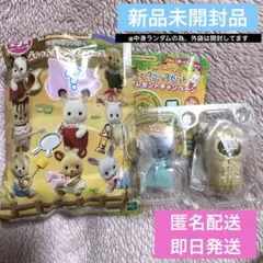 シルバニアファミリー　赤ちゃんキャンプシリーズ　シークレット　新品未開封品のサムネイル