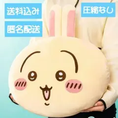 2026年最新】ちいかわ ぬいぐるみ big うさぎの人気アイテム - メルカリ