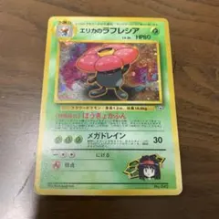 エリカのラフレシア ☆ ジム拡張第1弾 リーダーズスタジアム - メルカリ
