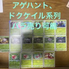 アゲハント、ドクケイル系列　バラ売り可能