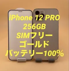 iPhone 12 PRO 256GB SIMフリー バッテリー新品100％ - メルカリ