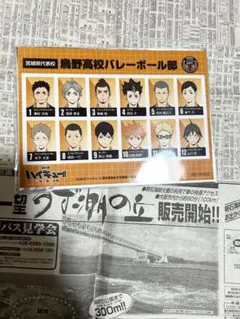 ハイキュー ゴミ捨て場の決戦 入場者特典 選手名鑑風ブロマイド 烏野高校