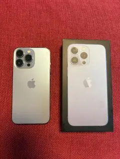 iPhone13 Pro