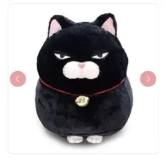 【新品】 ひげまんじゅう BIG 黒豆 ぬいぐるみ
