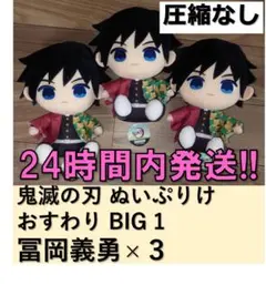 圧縮なし　アニメ「鬼滅の刃」ぬいぷりけおすわりBIG1 冨岡義勇３体セット