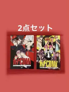 カチコミBOOK 2種セット‼️浅井西　あめのジジ　柊柾葵　夕倉アキ　たうみまゆ