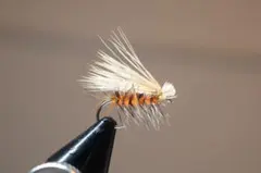 Item thumbnail for item 02669b5f-cf9c-4aa6-a7b1-f105a0a7b928