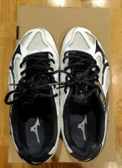 Mizuno バレーボールシューズ 23センチ