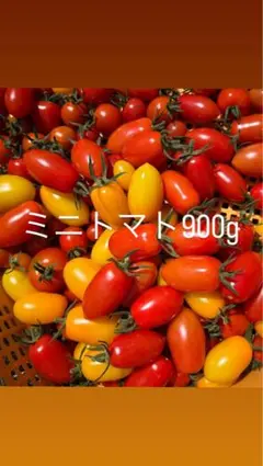 余市産 ミニトマト 900gのサムネイル