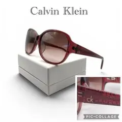 Calvin Klein CK サングラス グラデ ロゴ ck4209SAのサムネイル