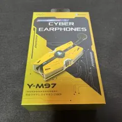 新品未使用　ワイヤレスイヤホン　完全ワイヤレスイヤホン