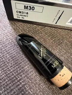 Item thumbnail for item 8e500193-a1a3-4b29-826b-d04497a38274