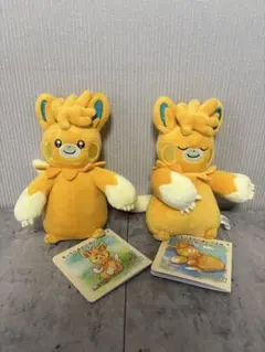 パーモット ぬいぐるみ セット