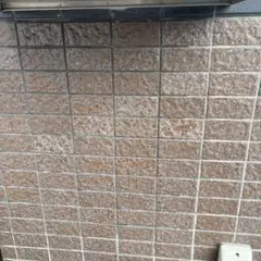 ちゅーたさん専用　5着