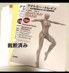 アナトミートレイン : 徒手運動療法のための筋膜経線