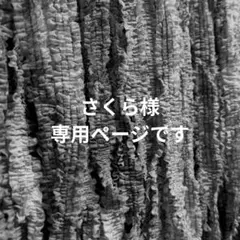 〚 さくら様専用ページ 〛