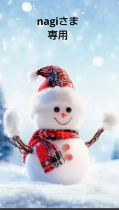 nagi様 リクエスト 3点 まとめ商品