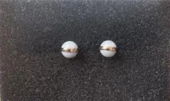 Daniel Wellington 箱無し