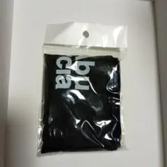 Item thumbnail for item 348b3010-1793-4672-acf1-e598b00a8fb7