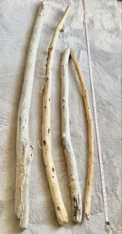 Item thumbnail for item 5747b8b1-f1c3-49d8-8f05-b0a4a5f900b9