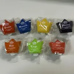 スタリ リングライト セット