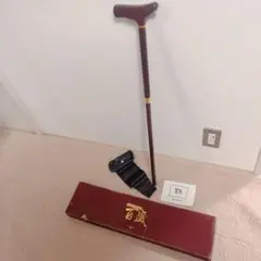 Item thumbnail for item 5c7d7751-f20a-4344-8099-2f46a76912e5