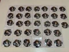 二階堂大和 缶バッジ 10周年 イベント アイナナ 33点