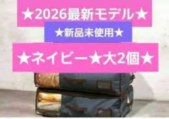 ★最新モデル★帝人★収納ケースプレミアム★大2個★ネイビー★新品のサムネイル