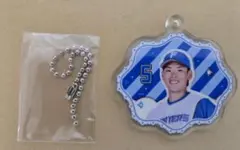 Item thumbnail for item e5860658-038d-43c8-88e0-2b0bd0a6b73f