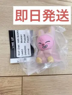 2026年最新】チャンビン ぬいぐるみの人気アイテム - メルカリ