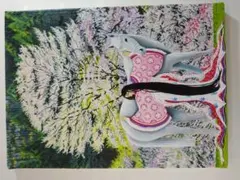 中島千波　花の写生１２葉　絵画　 12枚セット　求龍堂 中島千波 花の写生12葉 絵画 12枚セット 求龍堂 - メルカリ
