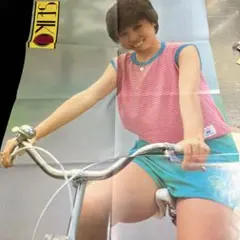 アイドルポスター　レトロのサムネイル