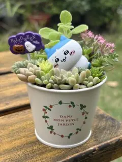 2025年最新】かわいいリメ缶の人気アイテム - メルカリ