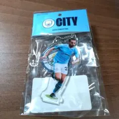 【未使用タグ付き/正規品】レスター　リヤド・マフレズ　ユニフォーム 2025年最新】Yahoo!オークション - サッカー(スポーツ別