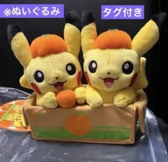 愛媛みかんピカチュウ　ぬいぐるみ ポケモンストア 愛媛限定 みかん ピカチュウ ぬいぐるみ - メルカリ