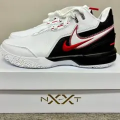 2025年最新】LEBron nxxt gen ampdの人気アイテム - メルカリ