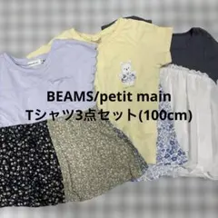 petit main/BEAMS/Tシャツセット/100cm
